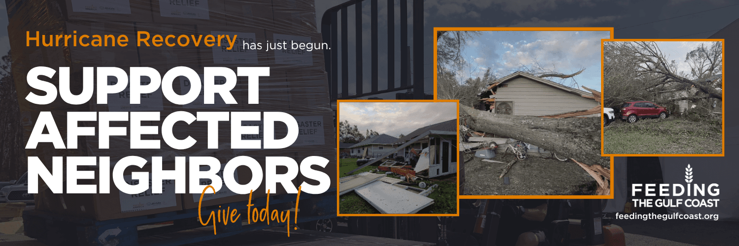 Fallen trees and storm debris surround and cover a home following Hurricane Isaias.