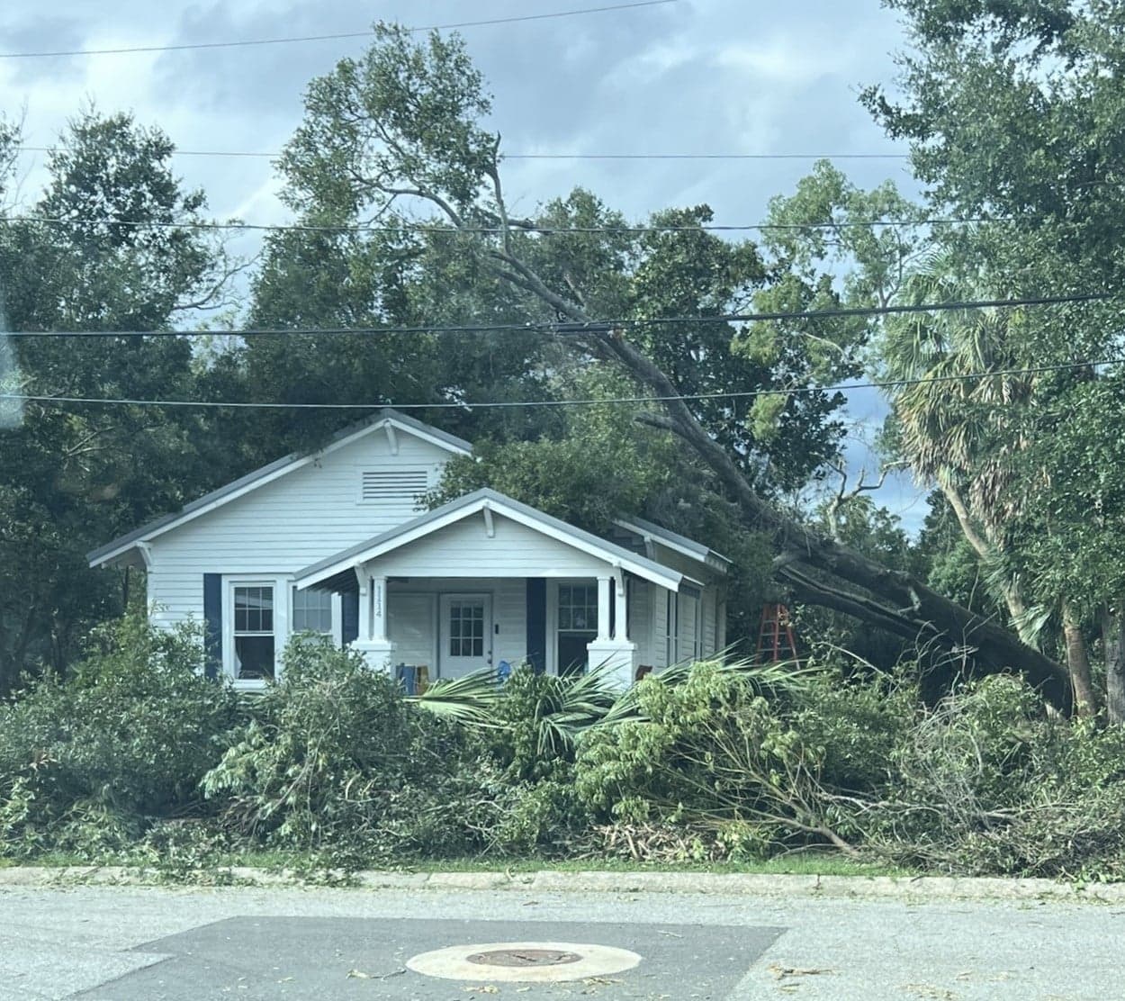 Fallen trees and storm debris surround and cover a home following Hurricane Isaias.